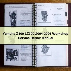 Yamaha Z300 LZ300 2004-2006 Workshop Service Repair Manual PDF Download