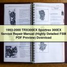 1993-2000 TRX300EX Sportrax 300EX Service Repair Manual (Highly Detailed FSM Preview)