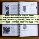 1982-2000 Yamaha BR250F Bravo Snowmobile Service Repair Workshop Manual