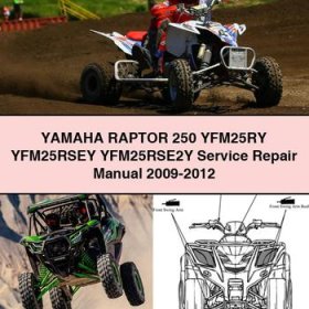 Yamaha RAPTOR 250 YFM25RY YFM25RSEY YFM25RSE2Y Service Repair Manual 2009-2012