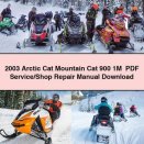 2003 Arctic Cat Mountain Cat 900 1M Service/Shop Repair Manual