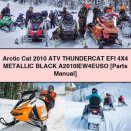 Arctic Cat 2010 ATV THUNDERCAT EFI 4X4 METALLIC BLACK A2010IEW4EUSO [Parts Manual]