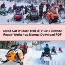 Arctic Cat Wildcat Trail UTV 2016 Service Repair Workshop Manual