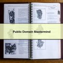 Public Domain Mastermind