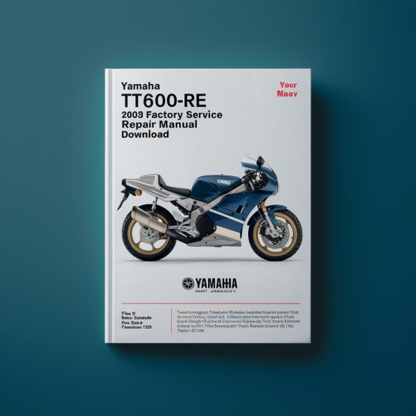 Yamaha TT600RE 2003 Factory Service Repair Manual